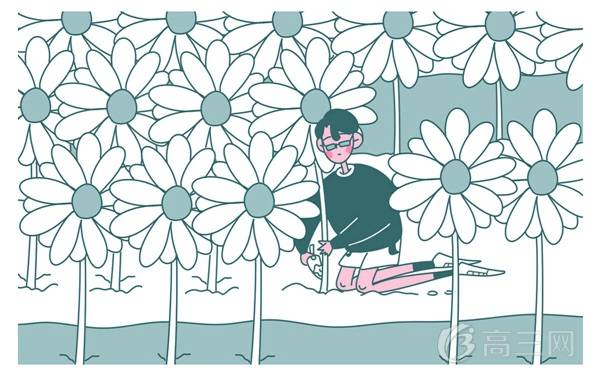 各大高校在云南招生计划