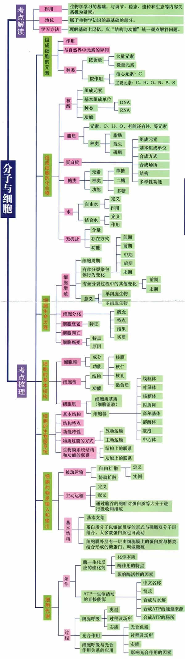 高中生物必考知识框架图