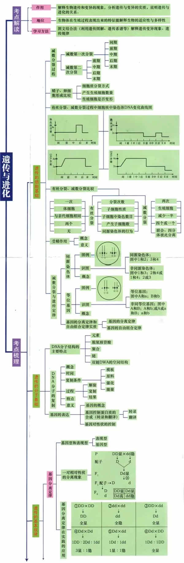 高中生物必考知识框架图