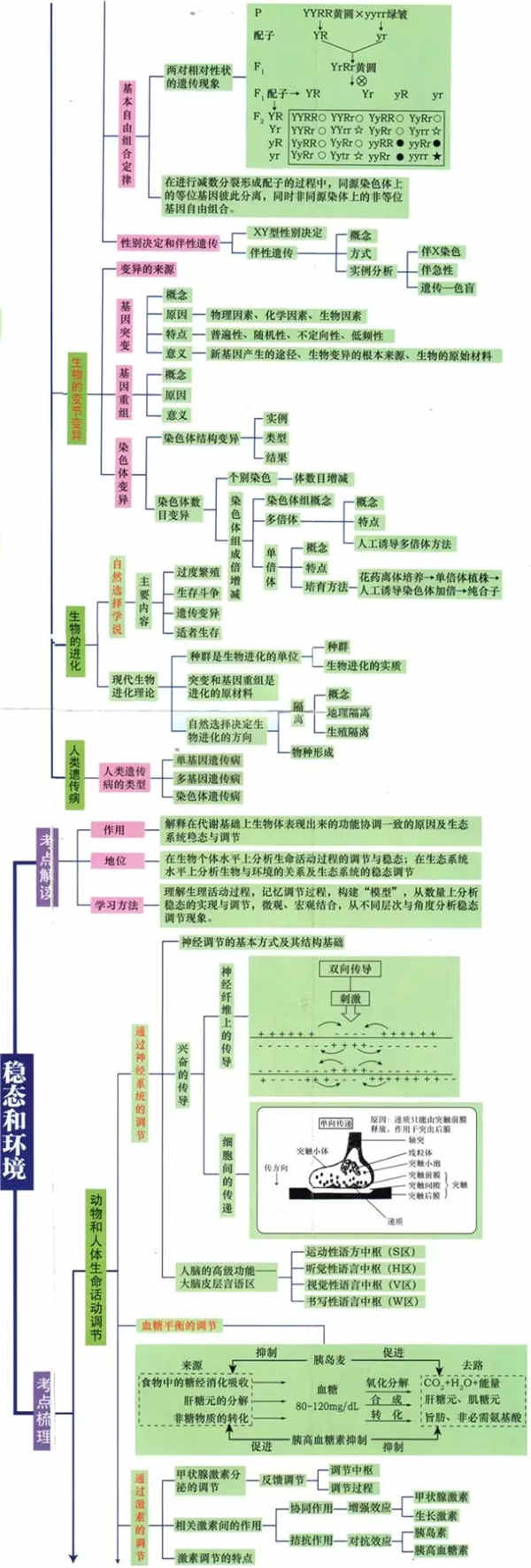 高中生物知识点有哪些