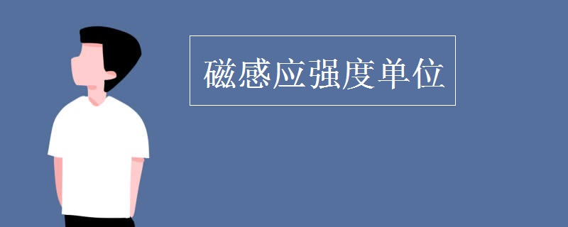 磁感应强度单位