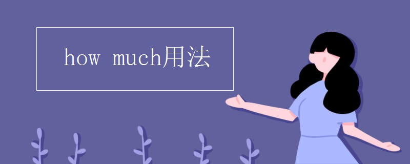 how much用法