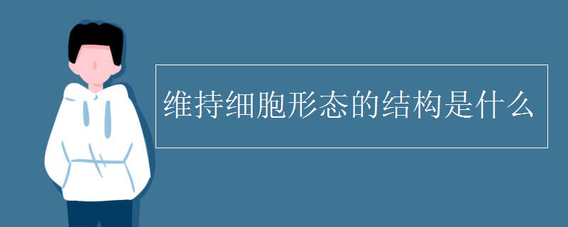 维持细胞形态的结构是什么