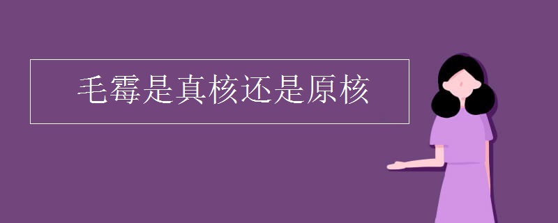 毛霉是真核还是原核