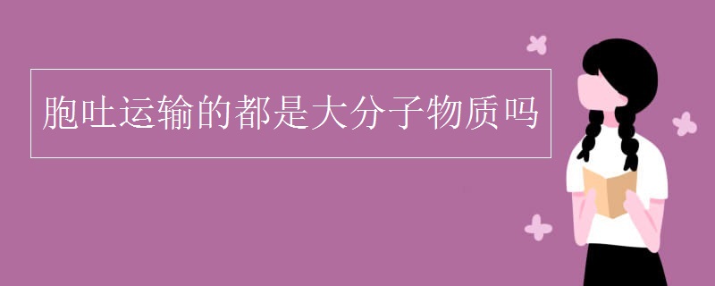 胞吐运输的都是大分子物质吗