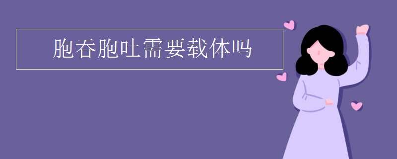 胞吞胞吐需要载体吗