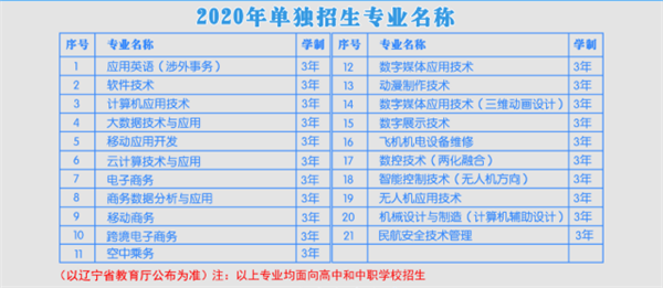 2020沈阳北软信息职业技术学院单招专业
