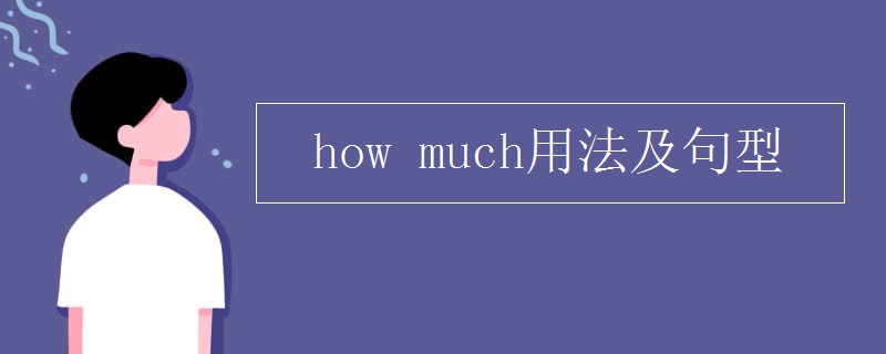 how much用法及句型
