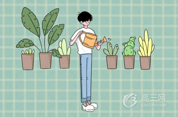 红星照耀中国第四章好词好句