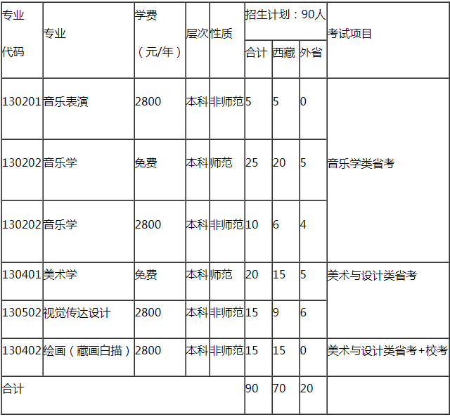 西藏大学2021艺术类招生专业及计划