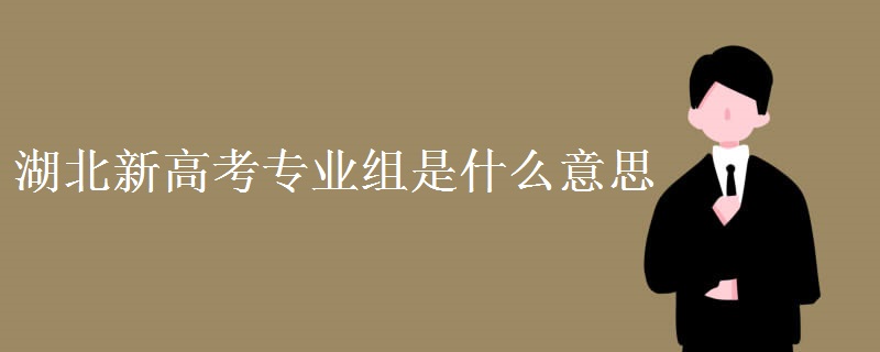 湖北新高考專業(yè)組是什么意思