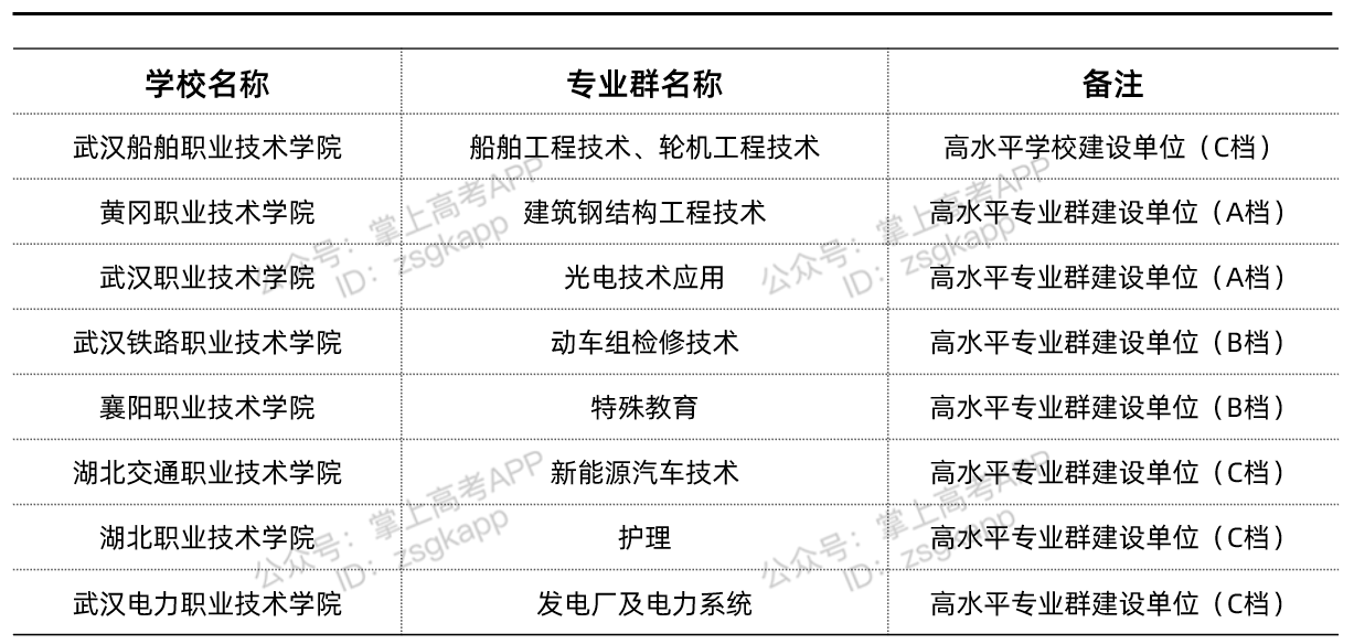 湖北省双高计划院校名单