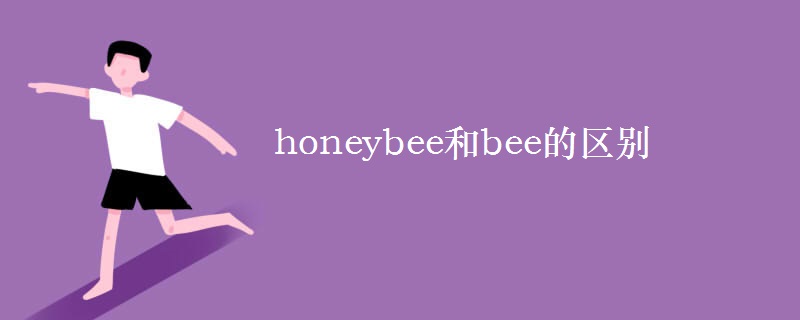 honeybee和bee的区别