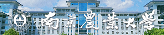 南京农业大学迎新网站入口