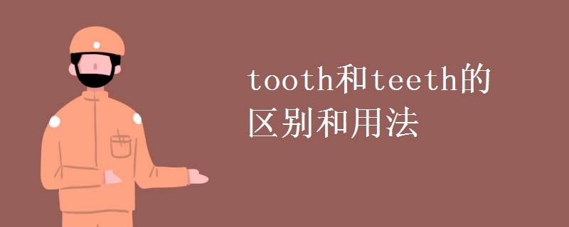 tooth和teeth的区别和用法
