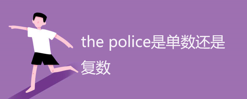 the police是单数还是复数