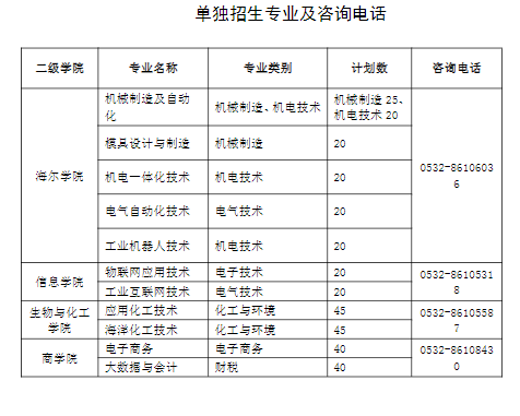 青岛职业技术学院2024年高职（专科）单独招生和综合评价招生章程