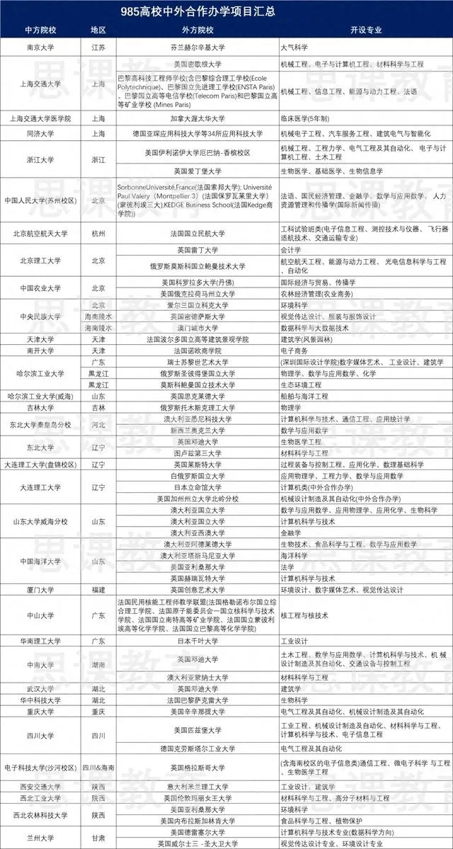 985的中外合作办学有哪些