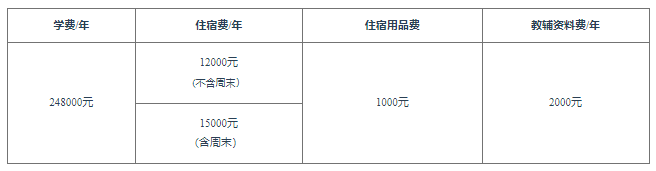 2024深大师院国际高中部学费一览