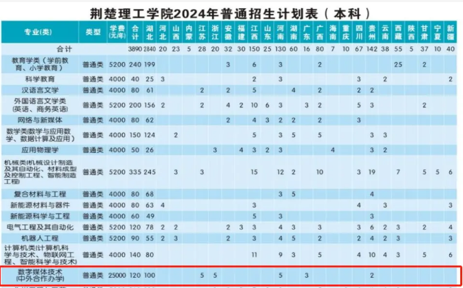 2024荆楚理工学院中外合作招生计划