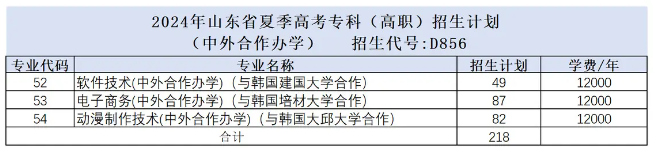 2024山东电子职业技术学院中外合作办学各专业一年多少钱