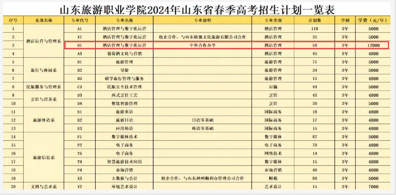 2024山东旅游职业学院中外合作办学各专业一年多少钱