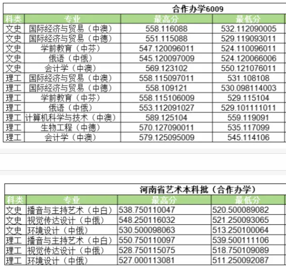 河南大学中外合办分数线