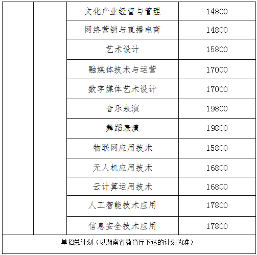 2025年长沙文创艺术职业学院单招招生计划及专业