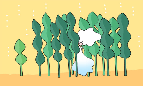 强基计划有什么特点 适合哪些考生报考