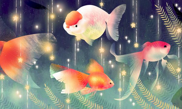 北京理工大学中外合作办学好不好 就业率如何 北京理工大学中外合作办学好不好 就业率如何