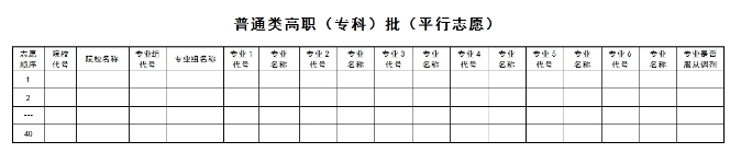 2025黑龙江高考志愿模拟填报样表一览