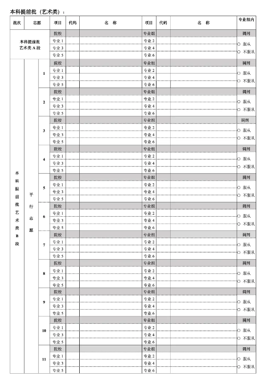 2025北京新高考30个志愿填报样表