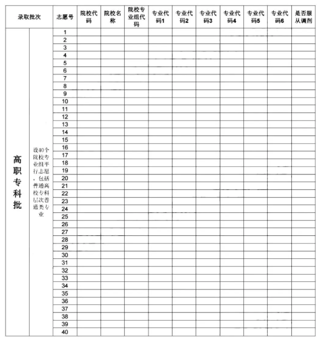 2025高考志愿表格式图片 填报指南及技巧有哪些
