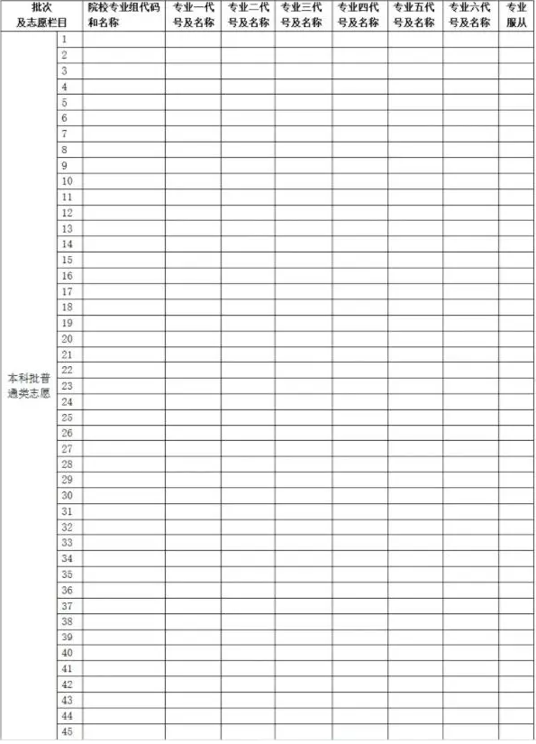 2025湖南新高考45个志愿填报样表