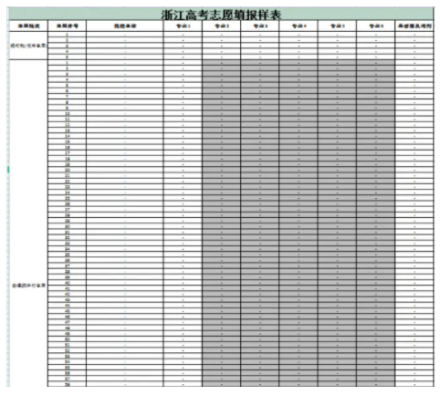 2025浙江80个志愿表模板 怎么报志愿比较好