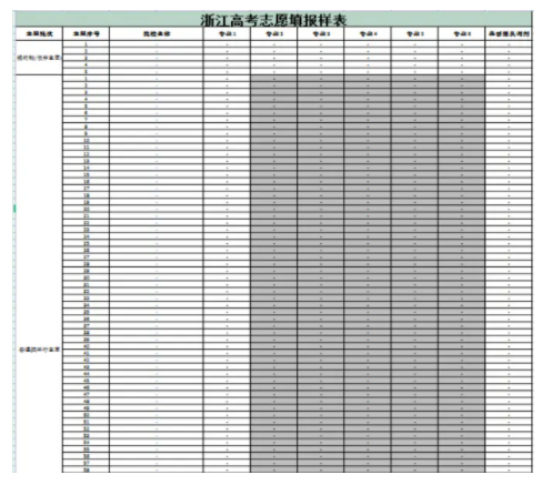 浙江2025新高考志愿填报样表模板 能填几个志愿