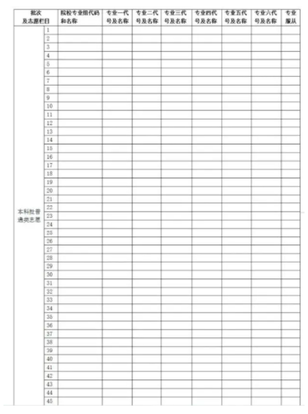 湖南2025新高考志愿填报样表模板 能填几个志愿