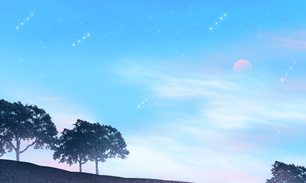 2025北京外国语大学国际预科精英课程招生简章