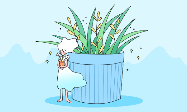 海南高考志愿填报时间什么时候