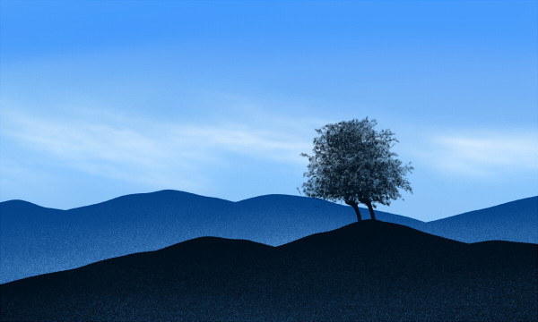 2025浙江金融职业学院中外合作办学招生专业及计划 最新收费标准