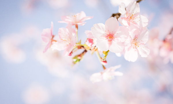 2025福建医科大学开学时间及入学须知 大一新生什么时候报到