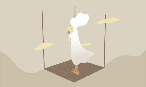 2025大一新生入学照片要求 2025大一新生入学照片要求