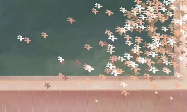 中外合作办学是在什么时候开始的