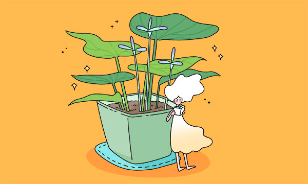 中外合作办学怎么提档