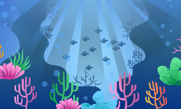 2026高考报名年龄限制多少岁 2026高考报名年龄限制多少岁