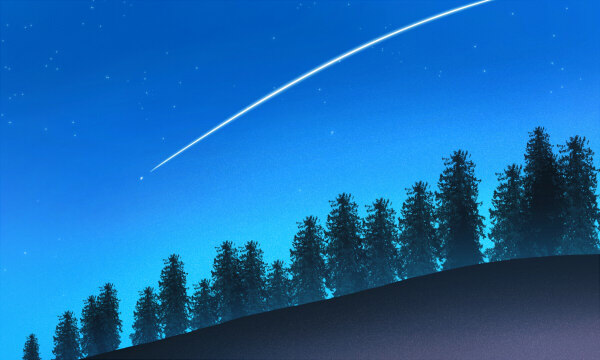 2025北京外国语大学中外合作办学录取分数线及位次