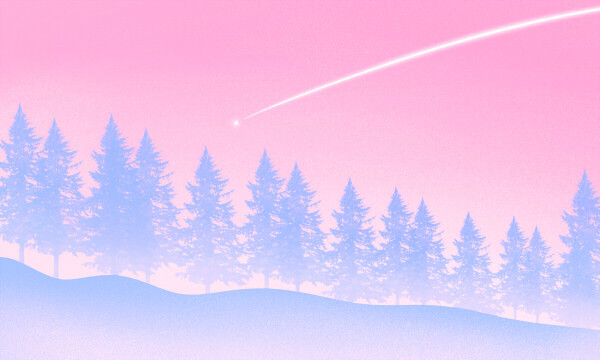 2026艺术生考陕西师范要多少分 报考策略有哪些