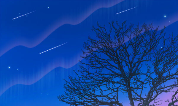 2026艺考怎么算高考分数 有哪些录取模式