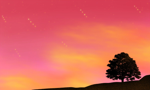 对外经贸3+1国际本科可以考吗 对外经贸3+1国际本科可以考吗