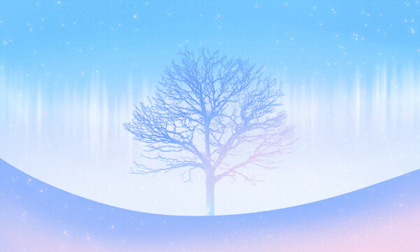 2026北京多少分稳上985大学 